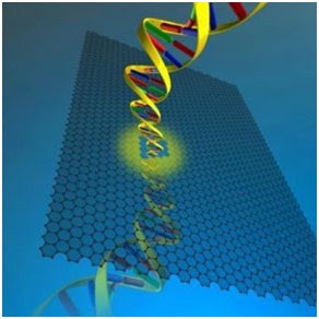 Sequencing DNA