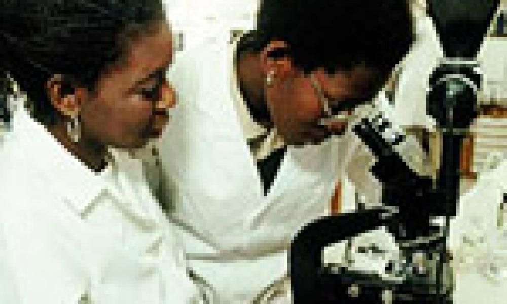 Africa: Poor Nations Lead the Way On Gender Equality in Research