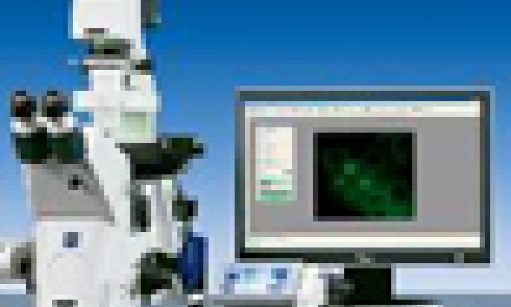 Africa gov’ts urged to pay attention to research