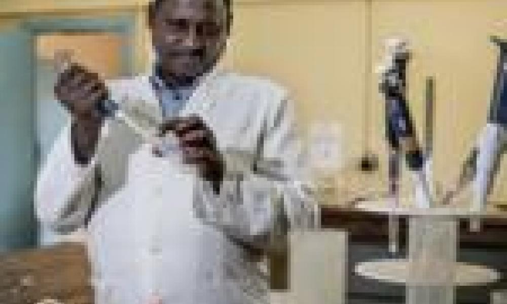 Africa’s science research output doubles in a decade