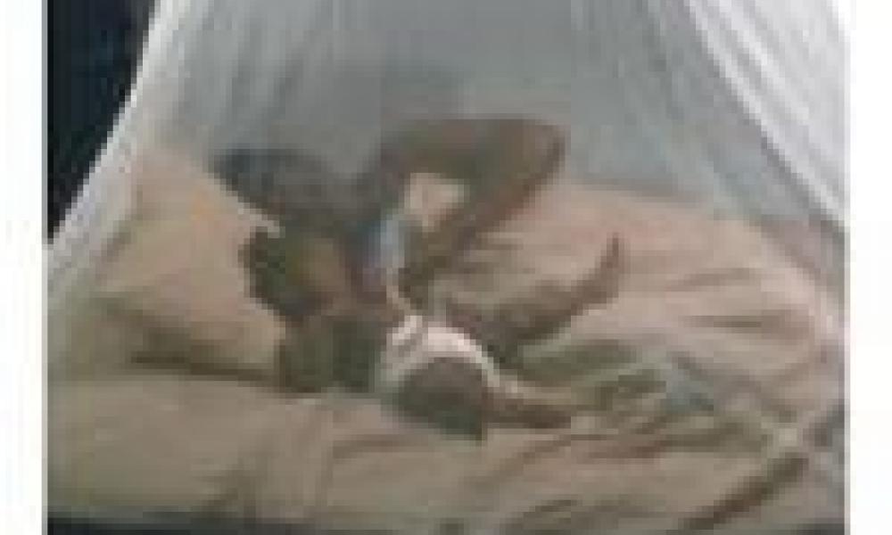 Media Campaign for Insecticide Treated Nets Launched