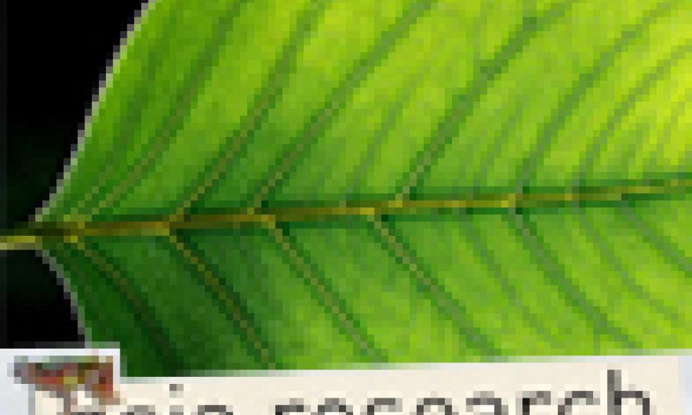 Plant “pore key” increases growth