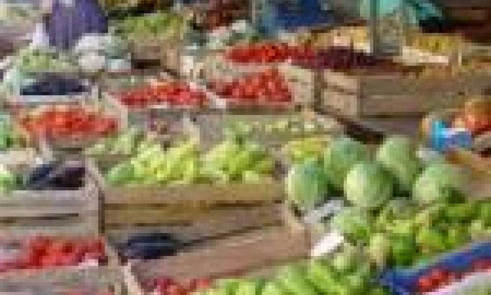 Time short to protect Africa's food supply from climate change - Scientists