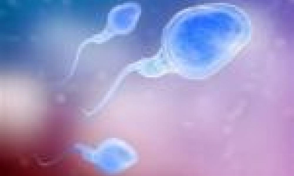 Unhealthy lifestyles of men are written into their sperm, study finds