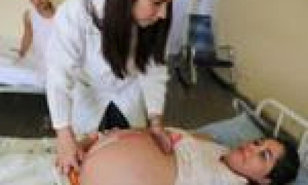 US scientists explore research partnerships with Cuba