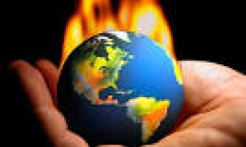 529,000 could die from climate-induced dietary changes by 2050