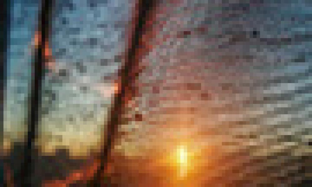 Academic rankings increase opportunities and research plan