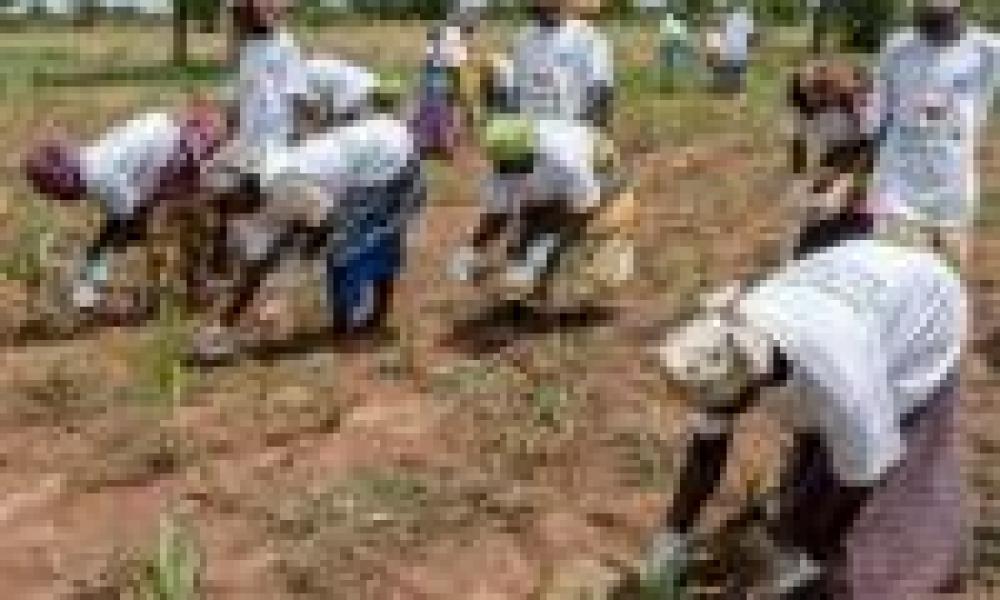 Agric Extension Services necessary for agric modernization – PFAG, SEND-Ghana
