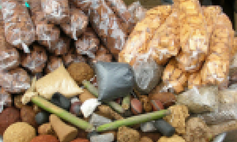 Ghana government asked to subsidize research cost of herbal medicines