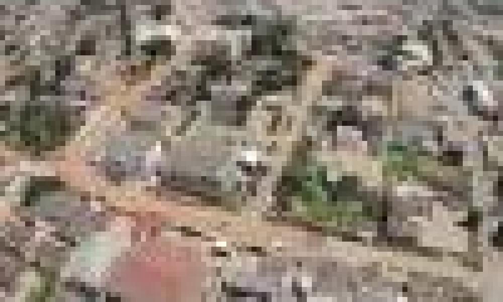 More resources urged to tackle Cardiovascular diseases in Ghana