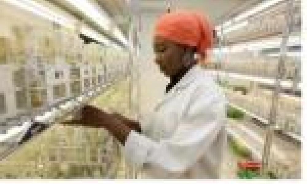 Academics concerned over 'exploitative' global research partnerships