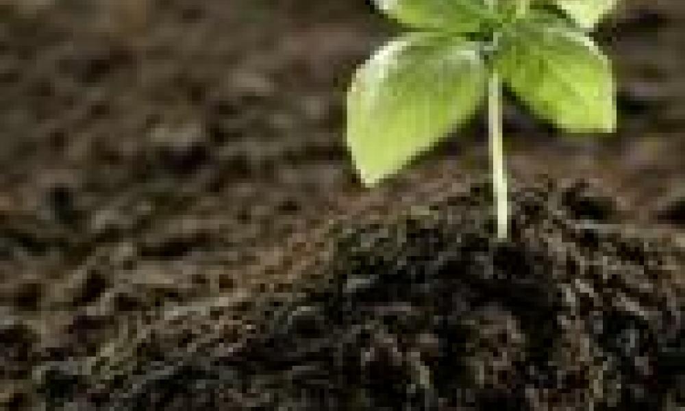 Ghana to produce organic fertiliser