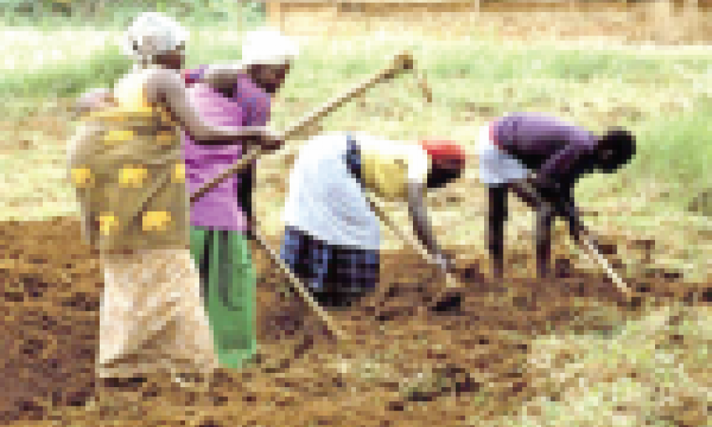 Using research to impact Agribusiness in Africa, FARA leads the way