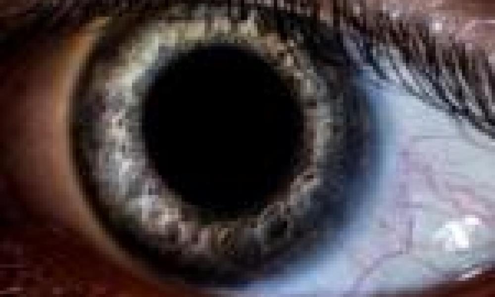 Stem cell research offers new hope of restoring sight