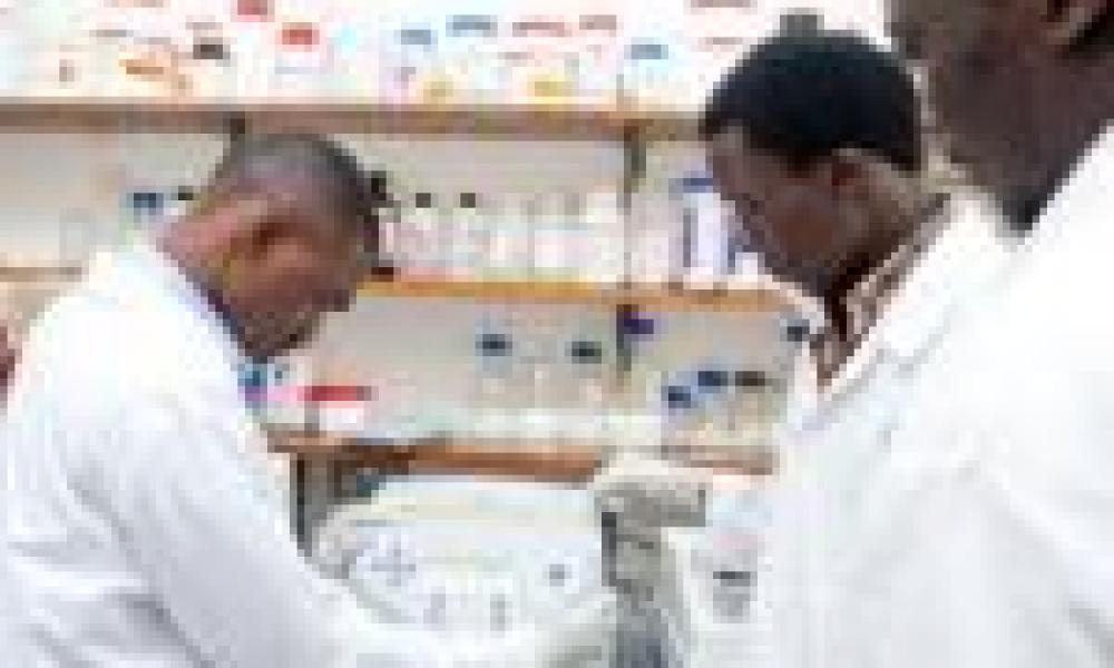 NIH awards $36M to train junior faculty in Africa through MEPI program 