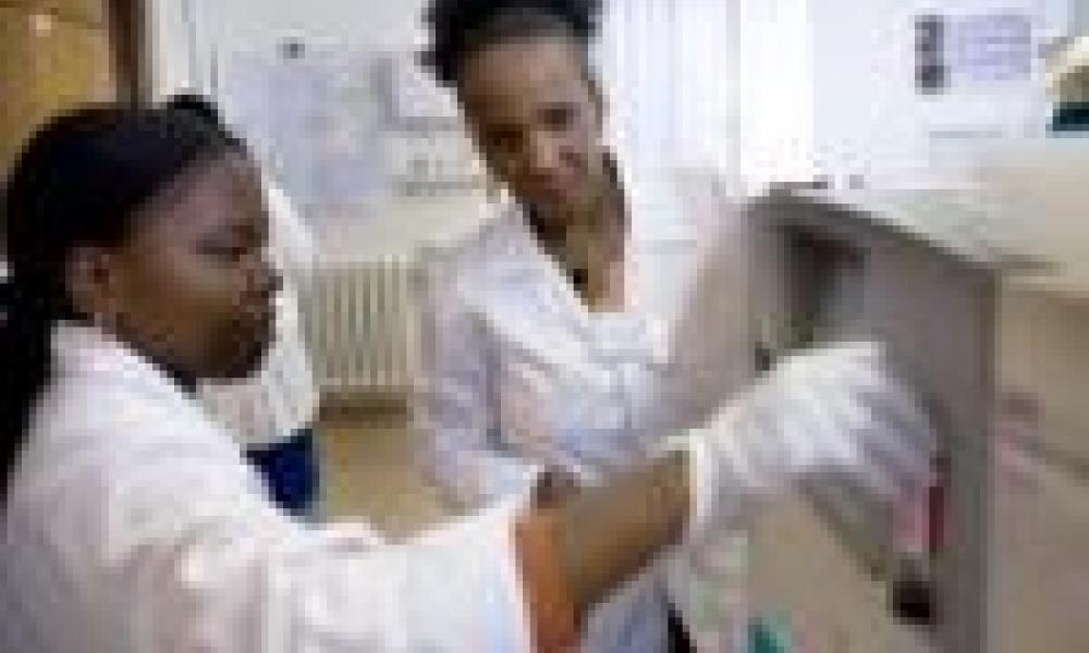 New career development program launched for LMIC scientists