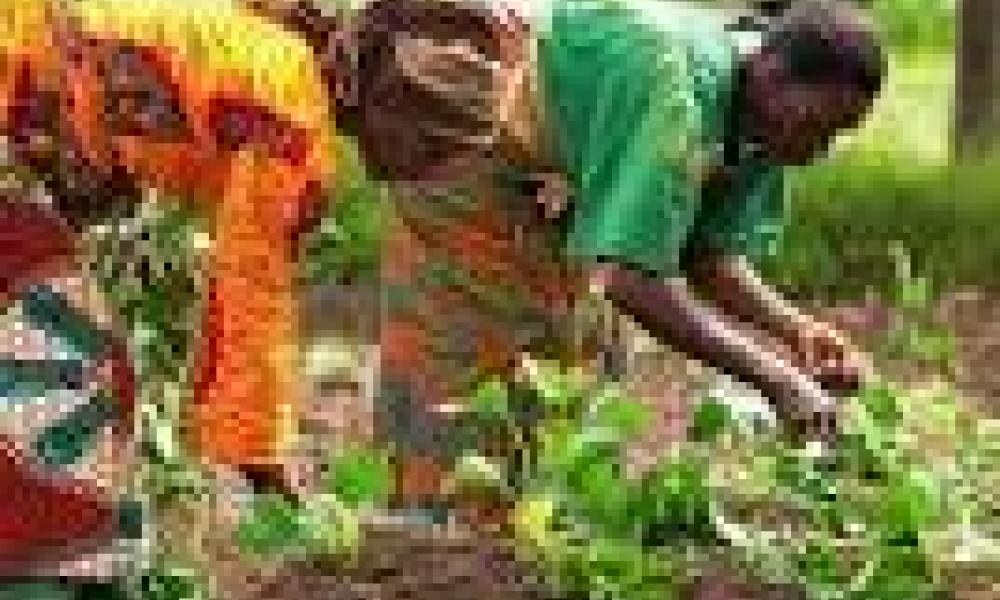 Government asked to invest more in agricultural research