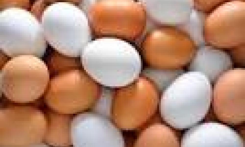 Ghanaians advised to consume egg daily
