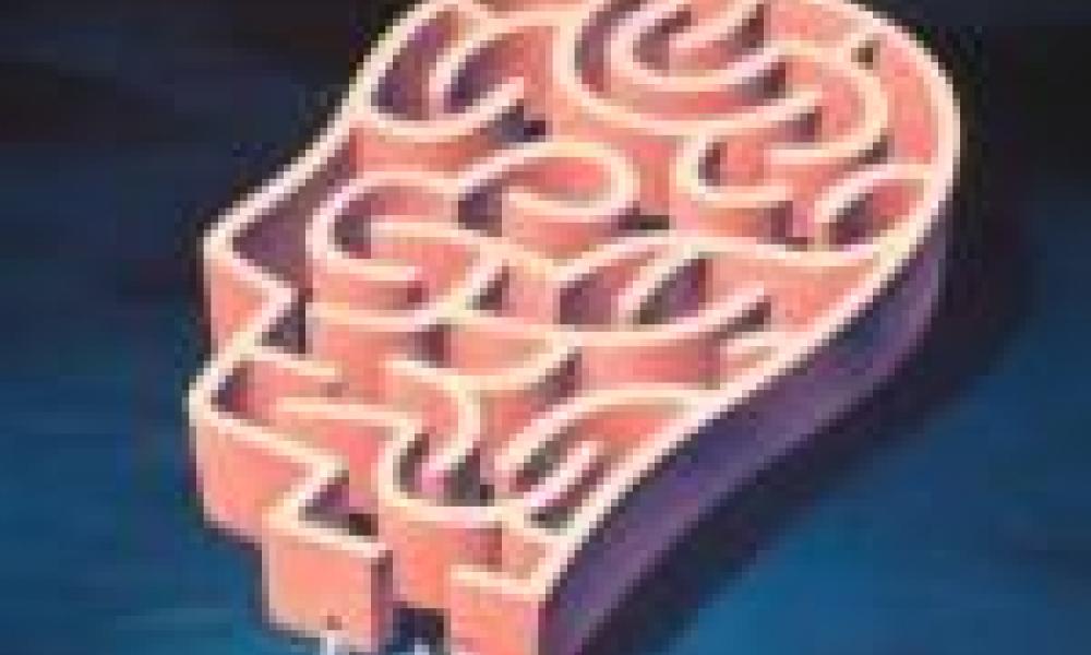 Mental health research: underfunded and failing to attract young academics