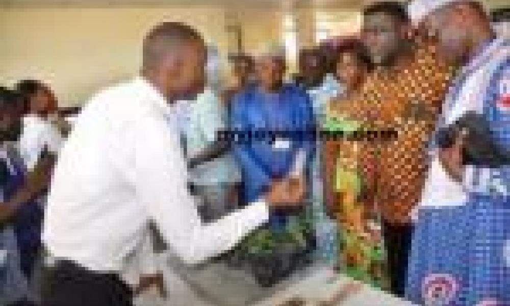 Scientists worry over funding challenges in root and tuber crops technology research