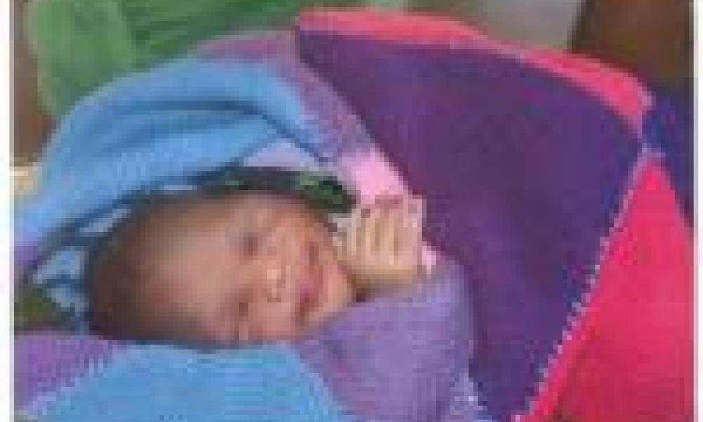 Midwives win grants to further reproductive research