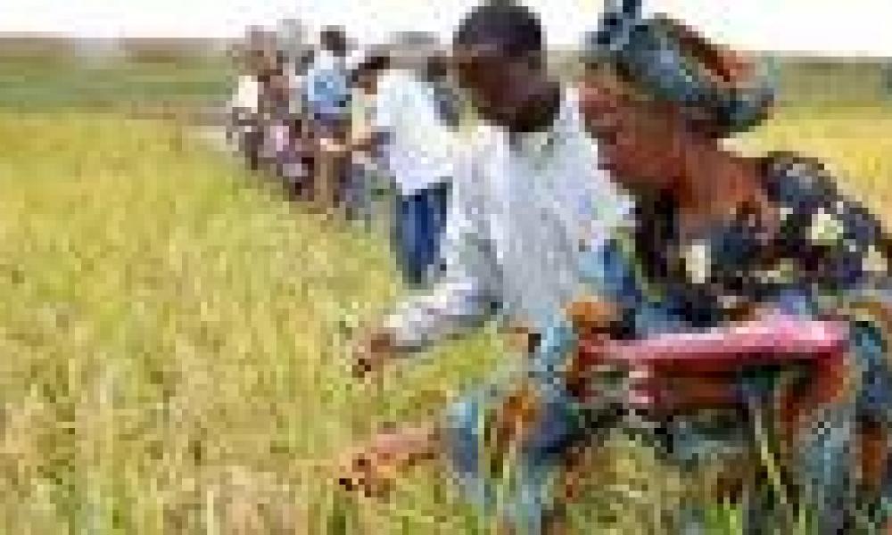 Yara Ghana seeks to develop agriculture students' potentials 