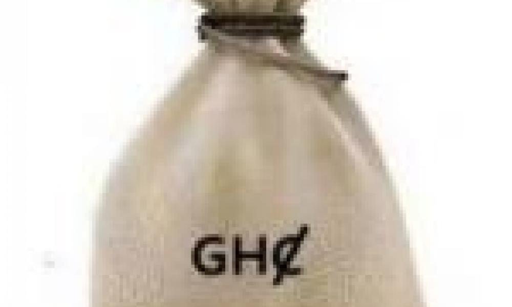 FORIG takes steps to generate more revenue 