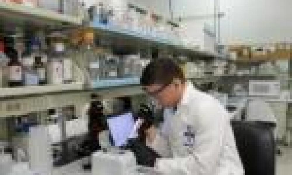 Students lend a hand to medical research