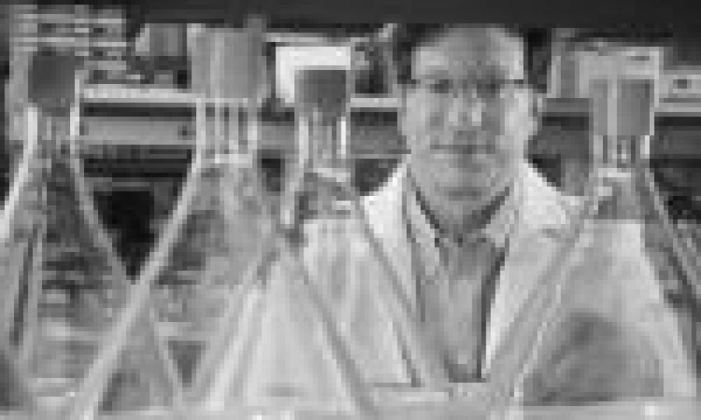 New tack to block HIV raises prospect of vaccine for AIDS