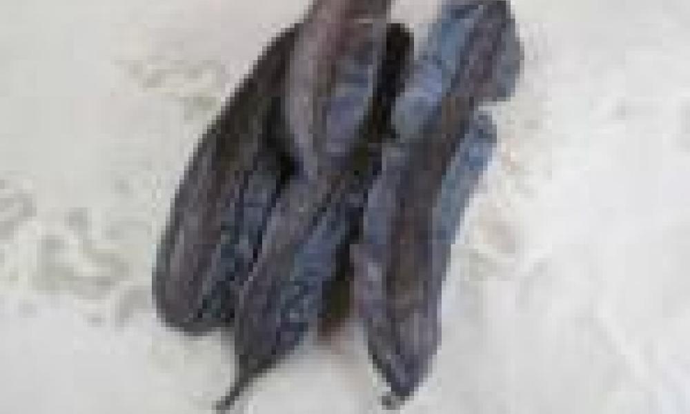 New Research Proves ‘Prekese’ Could Cure Hypertension