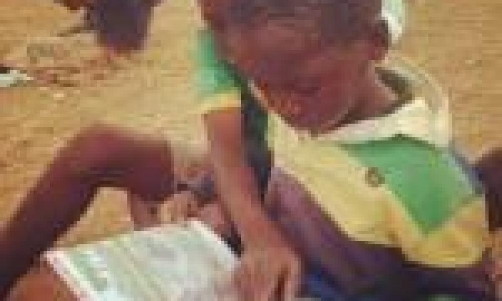 USAID organizes reading festivals for pupils 