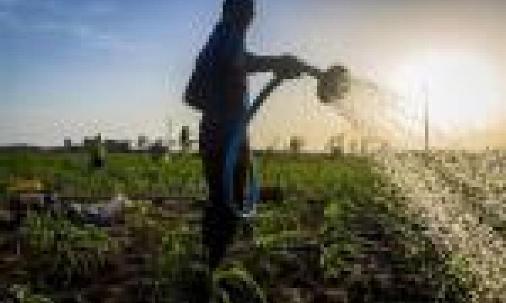 Wastewater solutions eyed for Ghana agriculture