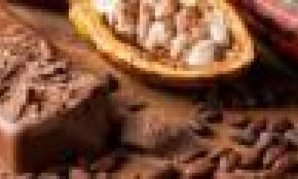 Chocothon Seeks to Save Cocoa Production in Ghana