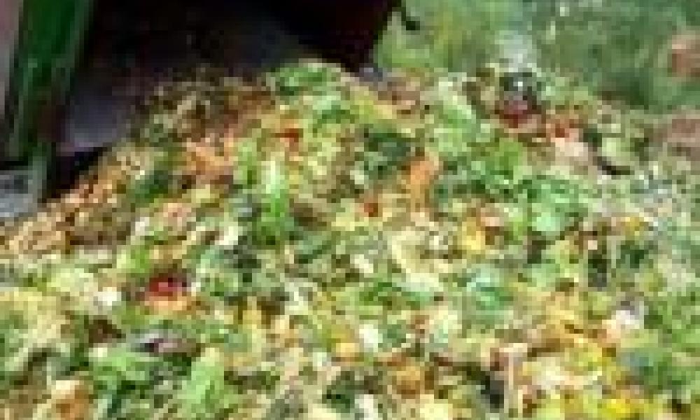 RETHINKING SUDAN IV: the way forward