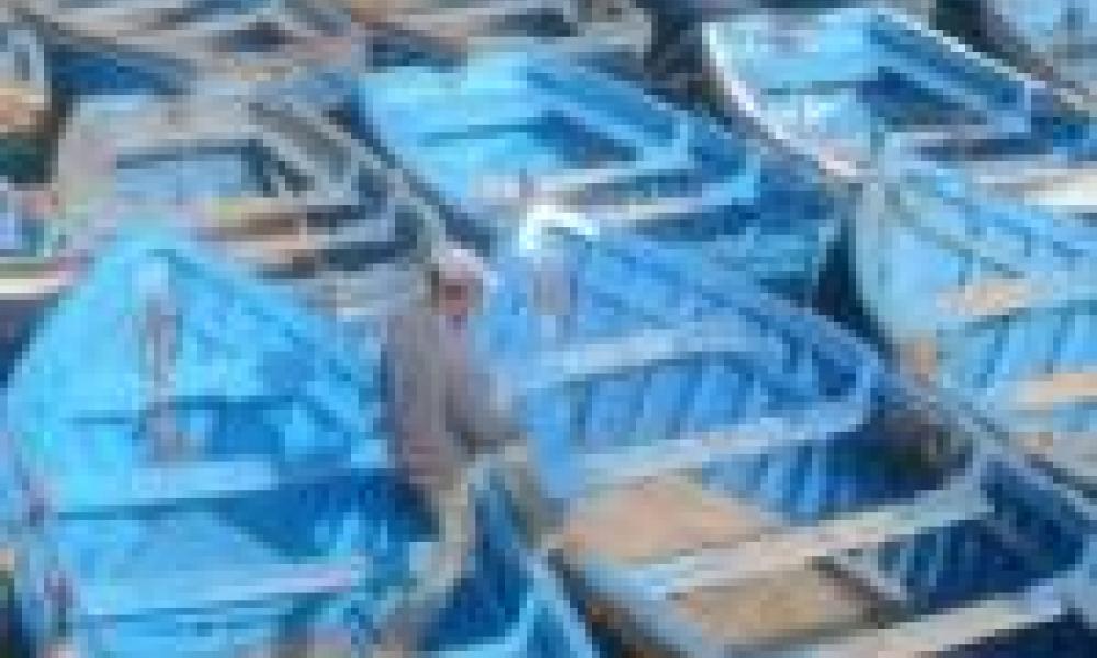 IAEA-Supported Research Examines Impact of Ocean Acidification on Coastal Societies