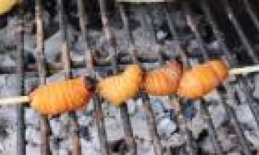 KNUST receives $1 million grant to produce Palm Weevil Larvae on large scale