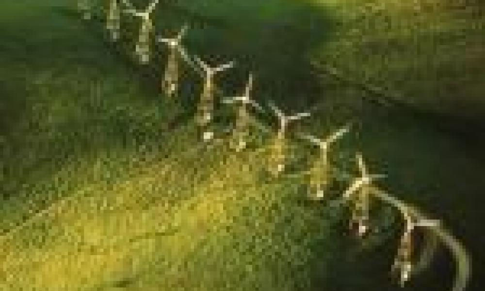 Ghana: Minister Acknowledges the Essence of Research in Science and Technology