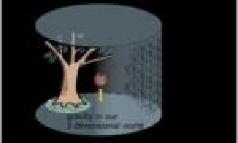 Theory of everything? How spacetime is built by quantum entanglement