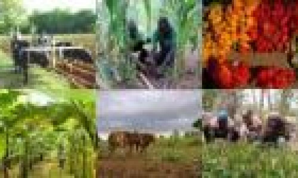 An agriculture firm owner leads the way in ecotourism 