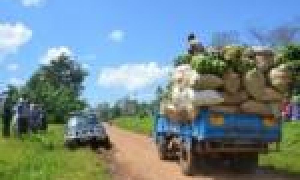 Ghana’s agricultural growth and development is a one man community project