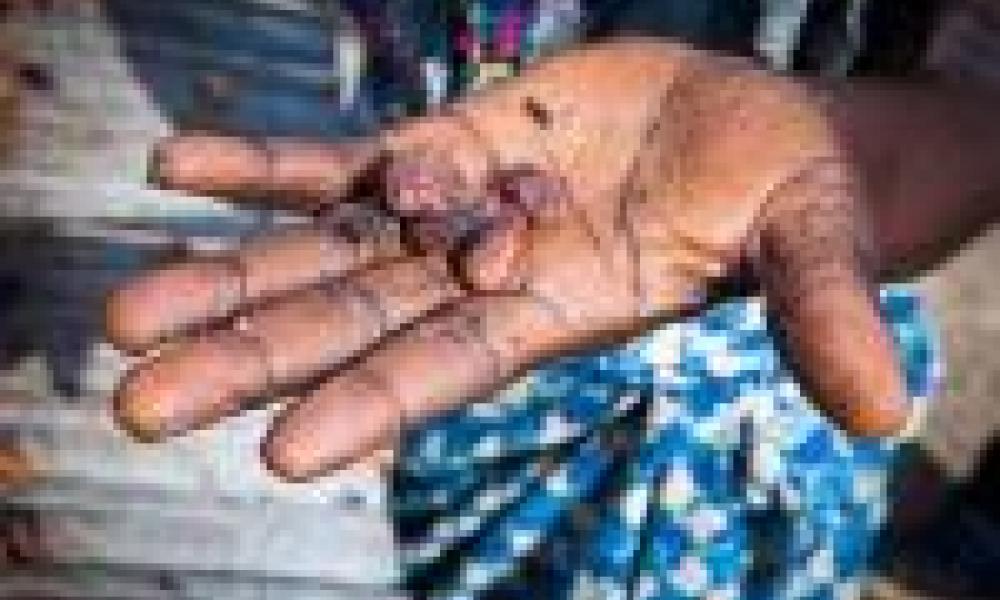 Researchers Say Fairtrade Chocolate Isn’t So Sweet for Women Farmers