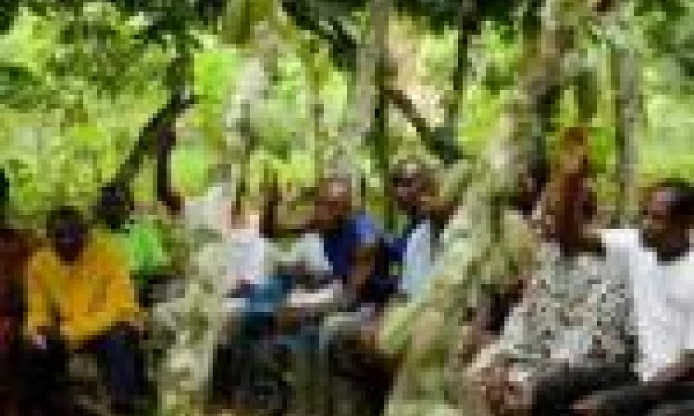 Young entrepreneurs compete for seed funding to revolutionise agric