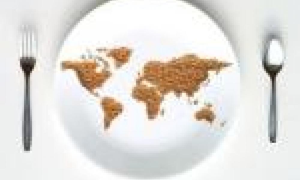 Global Researchers Collaborate for Sustainable Intensification in Africa