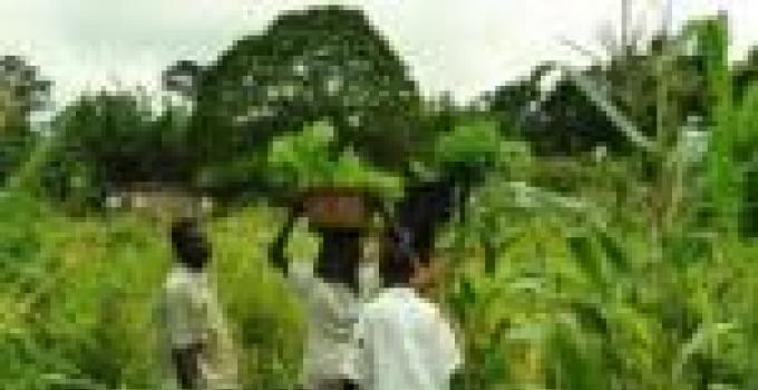 Group explores viable agric options in Northern region