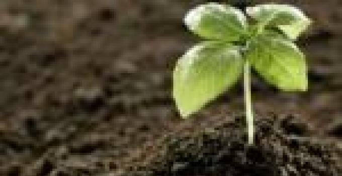 Ghana to produce organic fertiliser