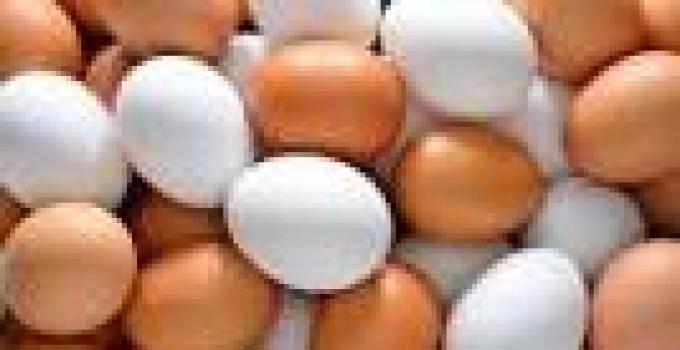 Ghanaians advised to consume egg daily
