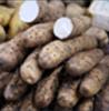 Improved Yam Storage for Food Security And Income In Ghana
