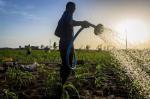 Wastewater solutions eyed for Ghana agriculture
